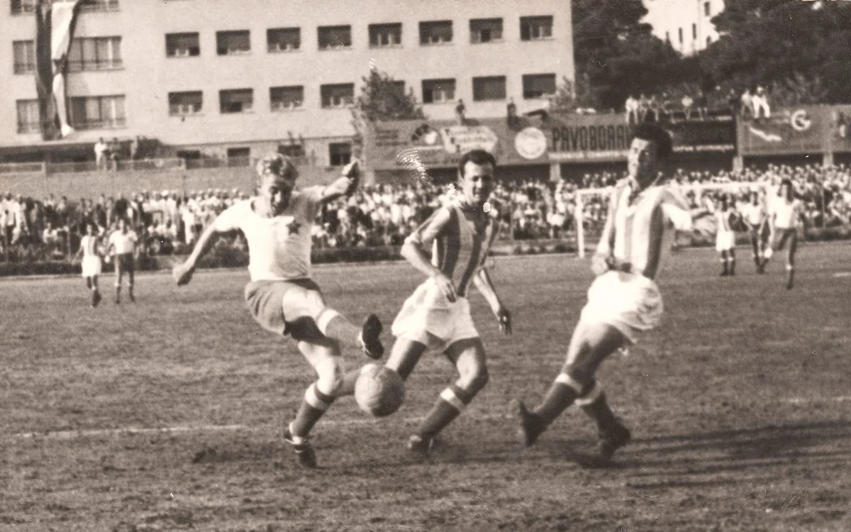 Bernard Vukas